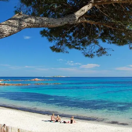Vecchio Κάμπινγκ *